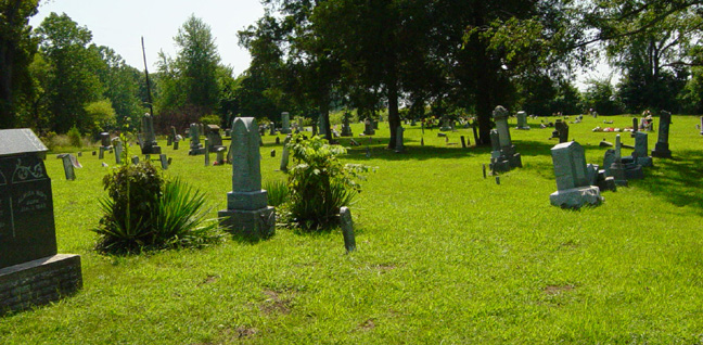 Tulip Cemetery